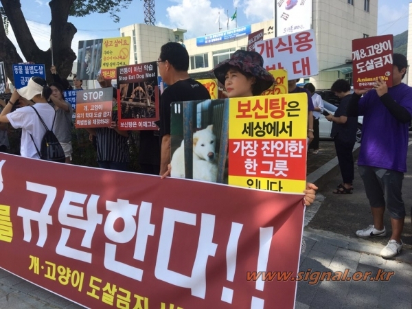 개고기 식용 규탄 집회를 하고 있는 동물보호단체 회원들 / 사진=이호종 기자