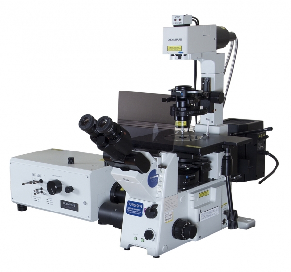 공초점 레이저 현미경